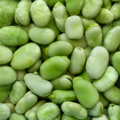 Broad Beans